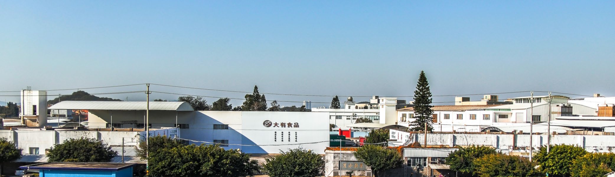 DONGXIN AQUATIC PROCESSING CO.,LTD