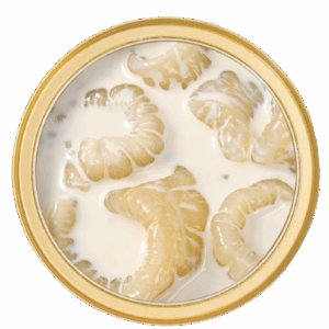 Beauty Fish Maw Soup