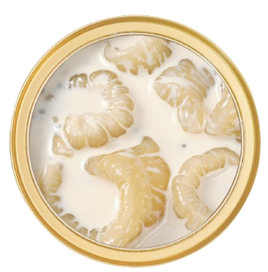 Beauty Fish Maw Soup