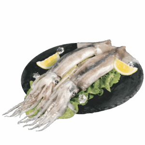 Whole Argentina Squid
