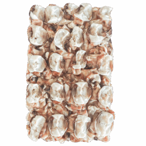 Squid Neck