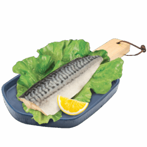 Fresh Mackerel